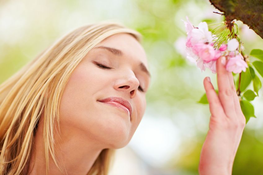 6857933 – young woman smelling the blossoms on a cherry tree